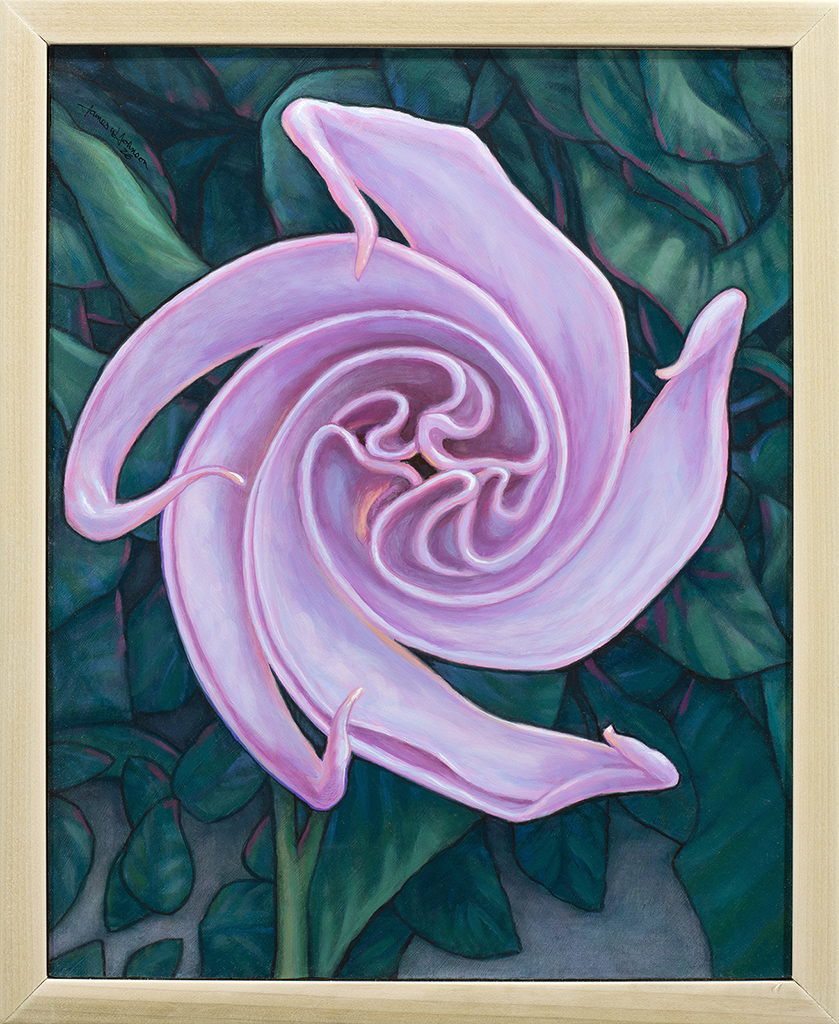 Unfurling Moonflower